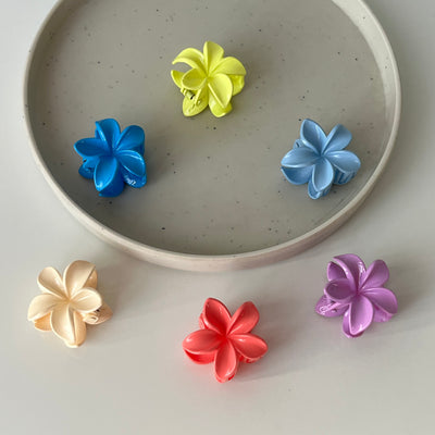 Floralis Bloom Clip – Small (Vault Set of 6) (Trade)