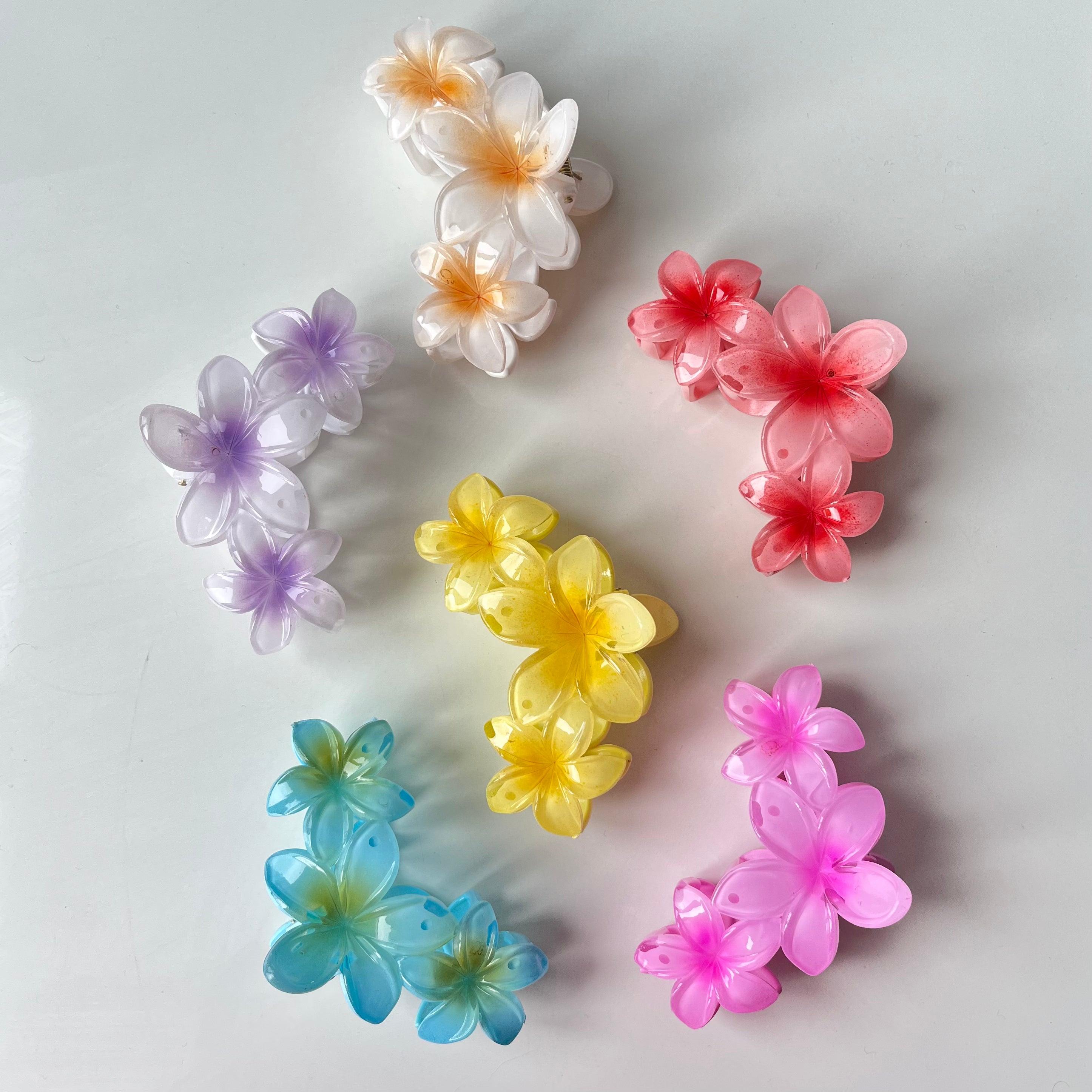 Aurora Bloom – Large Floral Claw (Vault Set of 6)