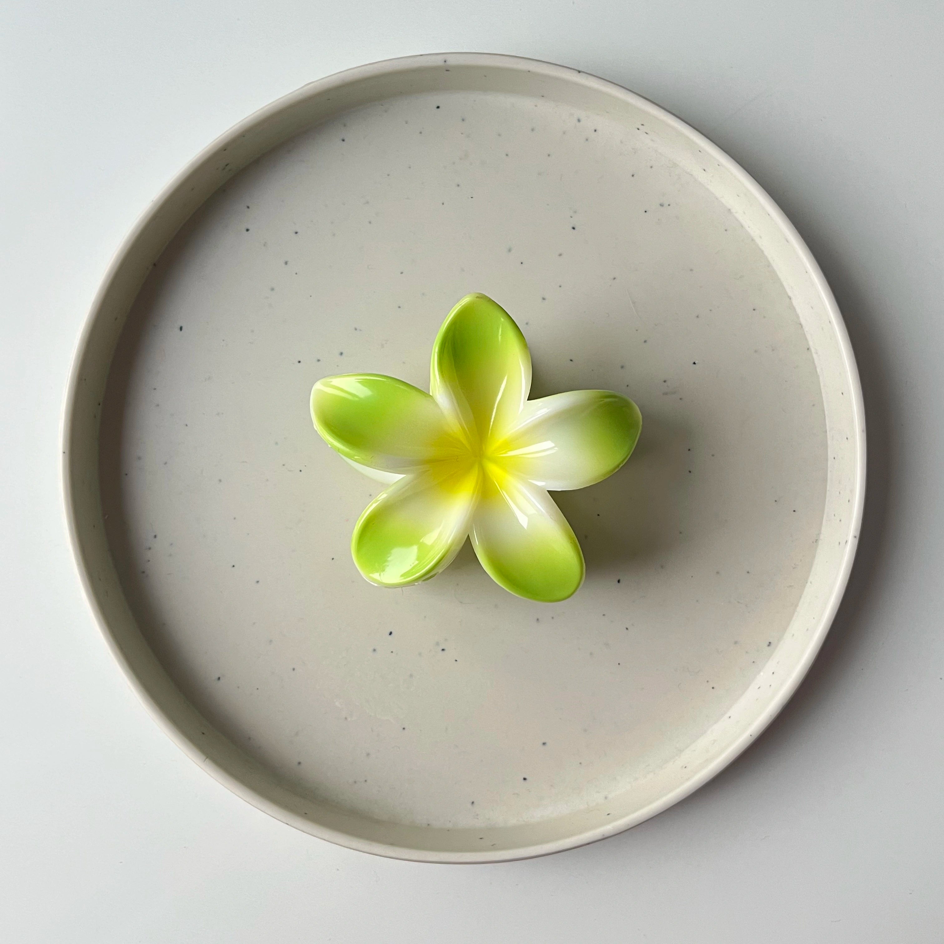 BloomAura – Large Gradient Floral Clip