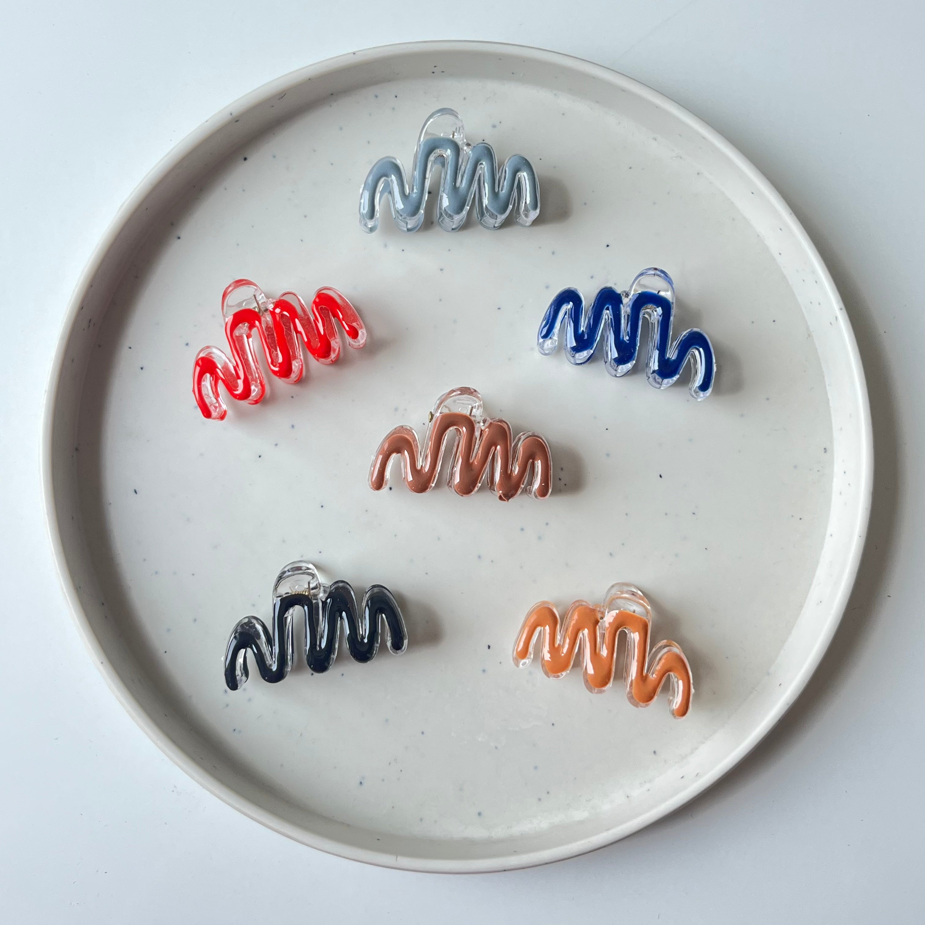 Serpentina Claw Clip – Small (Vault Set of 12)