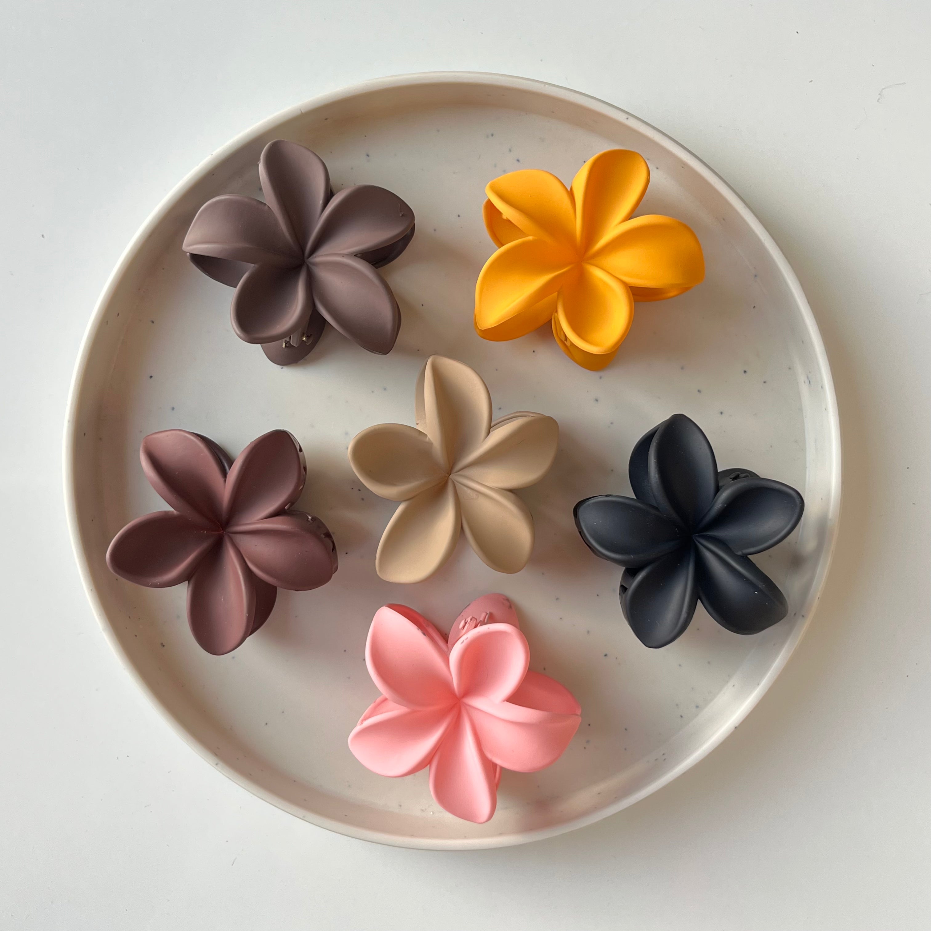 Fleur Matte Claw Clip – Medium (Vault Set of 12)