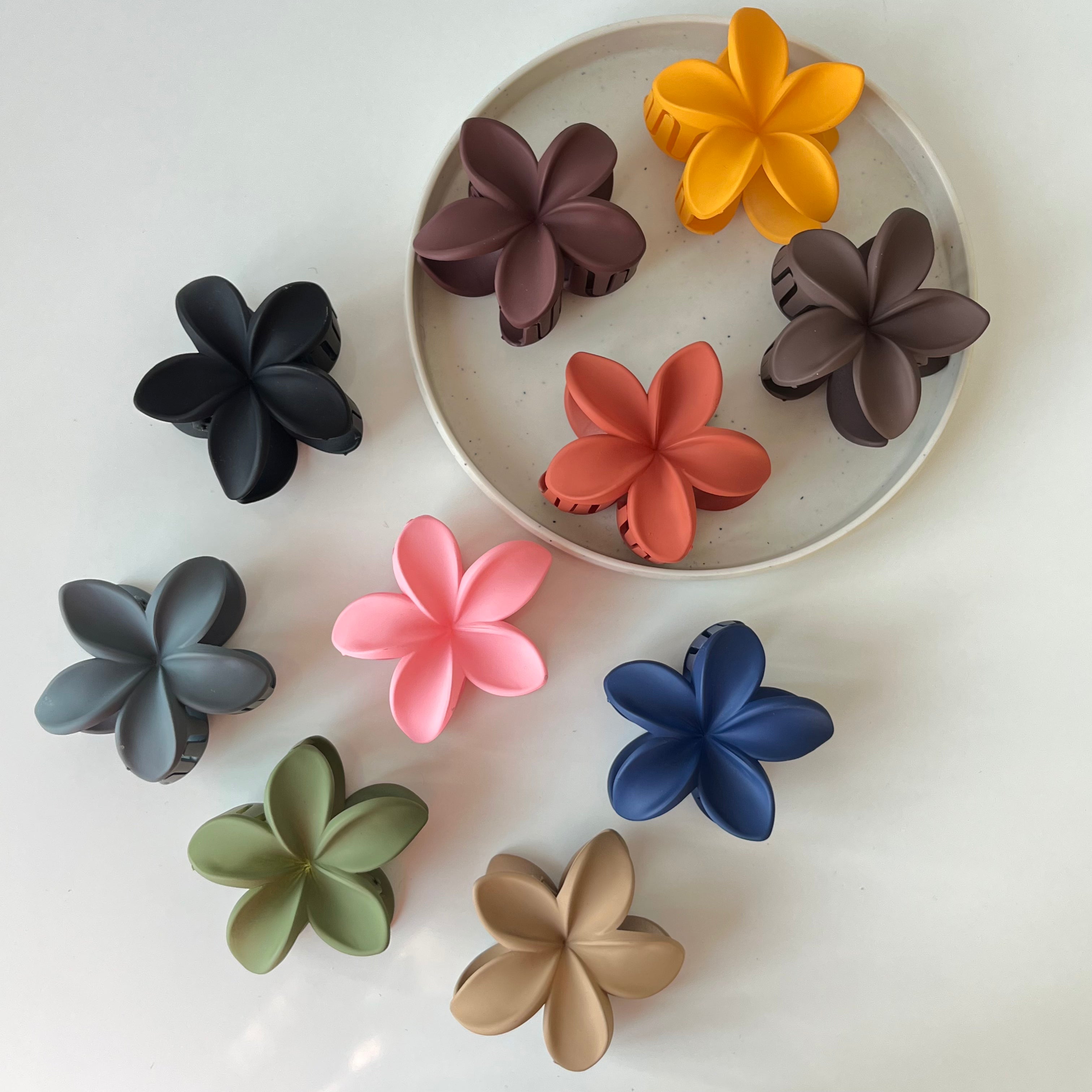 Maranta Claw Clip – Large (Vault Set of 10)