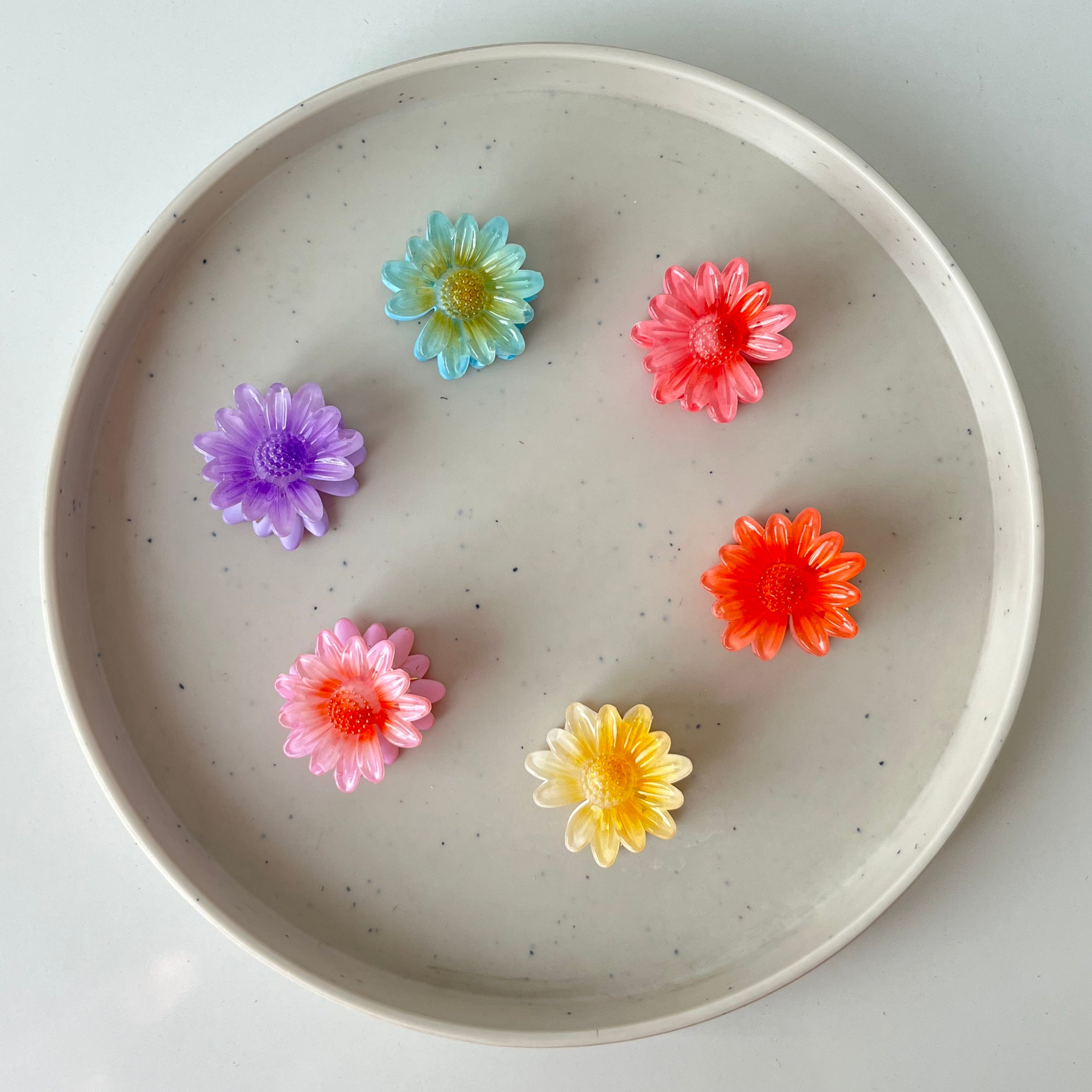 Daisy Bloom – Small Hair Claw (Vault Set of 6)
