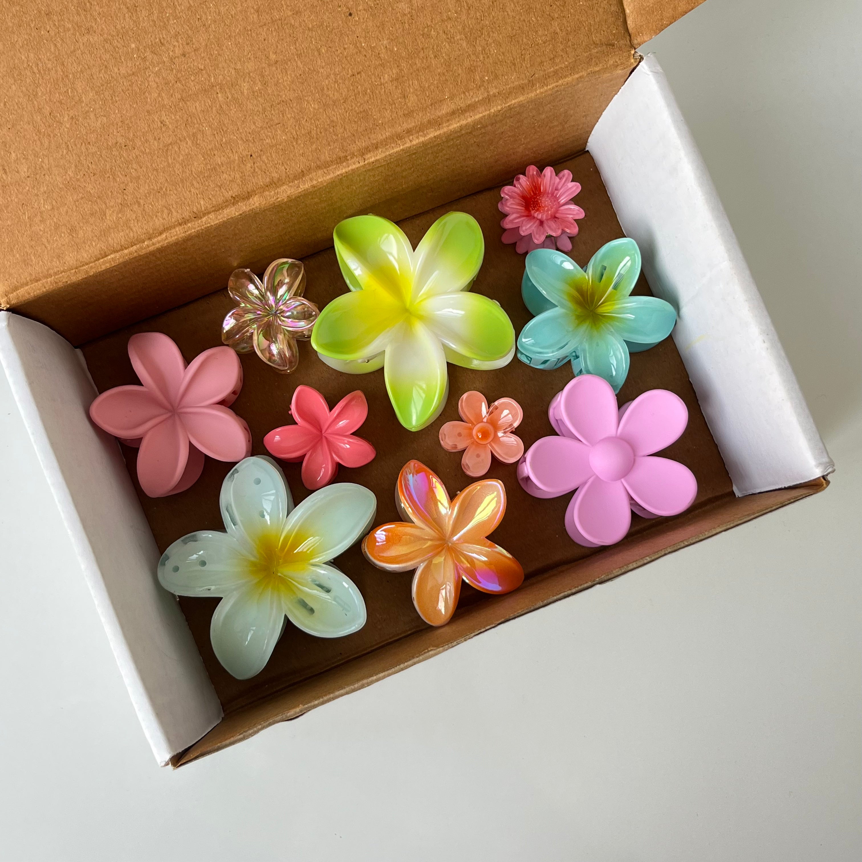 Bloom Carnival – Hair Accessory Combo (Set of 10)